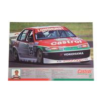 Castrol Racing GP50 Ford V8 Supercar Flyer