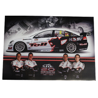 HSV 20th Anniversary Poster