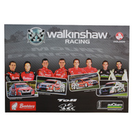 2009 Walkinshaw Racing Poster