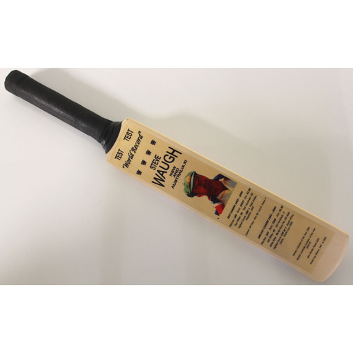 Steve Waugh Highlights Mini Cricket Bat