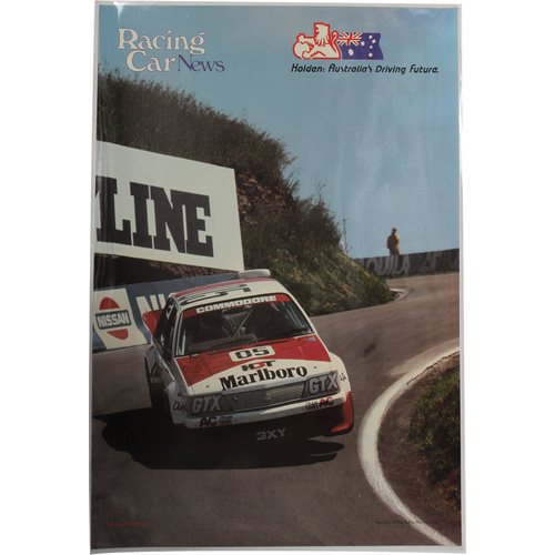 Peter Brock Holden Commodore VH Poster